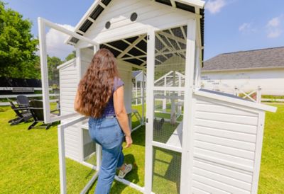 Image showing  Modern Countryside Chicken Coop With Poultry Pen & Coop Connection