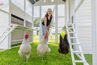 Image showing 6 th Zylina Modern Countryside Chicken Coop With Poultry Pen & Coop Connection