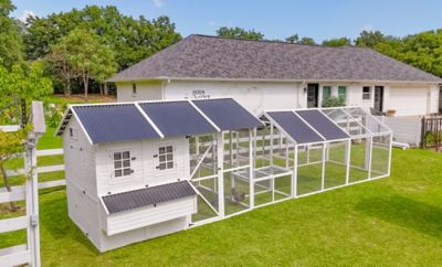 Zylina Modern Chicken Barn With Poultry Pen & Coop Connection