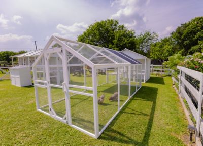 Image showing  Modern Chicken Barn With Poultry Pen & Coop Connection