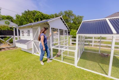 Image showing  Modern Chicken Barn With Poultry Pen & Coop Connection
