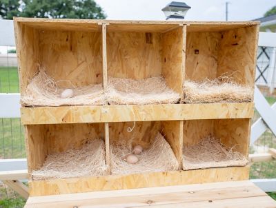 Image showing  Best Rest 6 Bay Nesting Box for Chickens