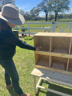 Image showing  Best Rest 6 Bay Nesting Box for Chickens
