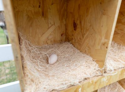 Image showing  Best Rest 6 Bay Nesting Box for Chickens