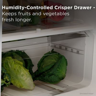 Image showing 6 th TCL 10.1 cu. ft. Double Door Refrigerator with Freezer, Silver