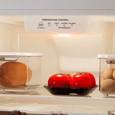 Image showing 8 th TCL 10.1 cu. ft. Double Door Refrigerator with Freezer, Silver