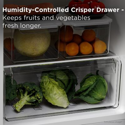 Image showing 5 th TCL 7.3 cu. ft. Double Door Refrigerator with Freezer, Silver