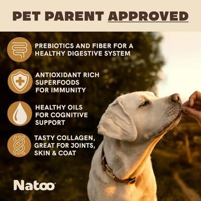 Image showing  Peanut Butter Crunchy Biscuit Dog Treats