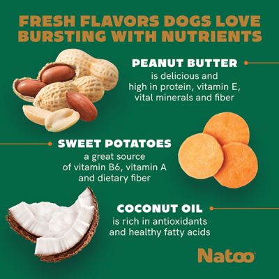 Image showing  Peanut Butter Crunchy Biscuit Dog Treats