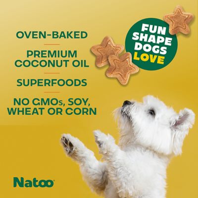 Image showing  Peanut Butter Crunchy Biscuit Dog Treats