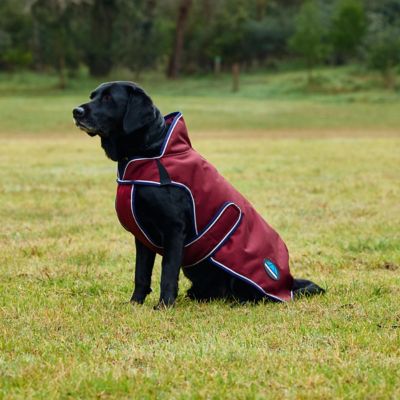 Image showing  ComFiTec Premier Deluxe Waterproof Dog Coat