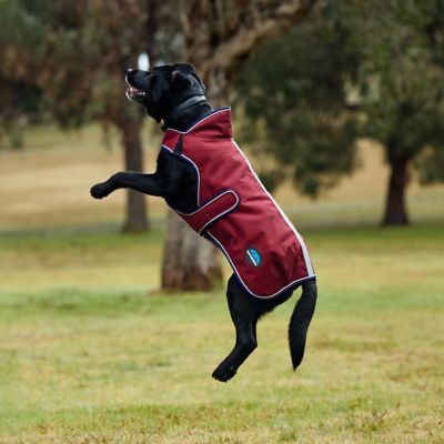 Image showing  ComFiTec Premier Deluxe Waterproof Dog Coat