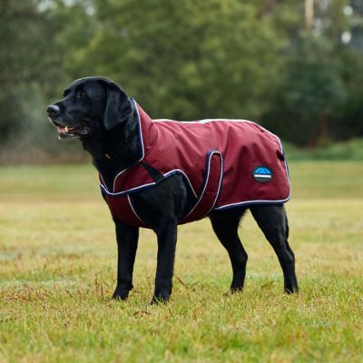 Image showing  ComFiTec Premier Deluxe Waterproof Dog Coat