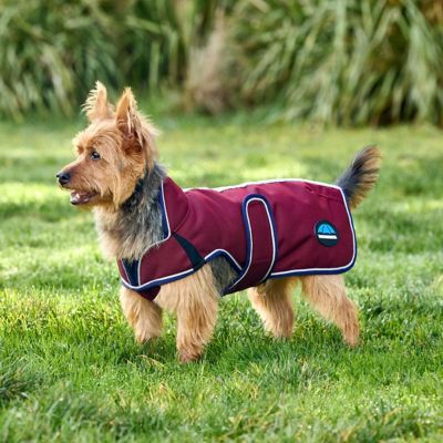 Image showing 7 th WeatherBeeta ComFiTec Premier Deluxe Waterproof Dog Coat