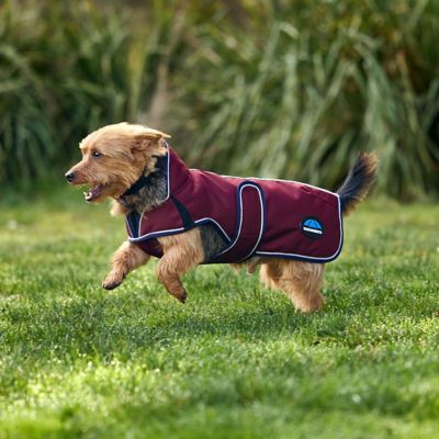 Image showing 8 th WeatherBeeta ComFiTec Premier Deluxe Waterproof Dog Coat