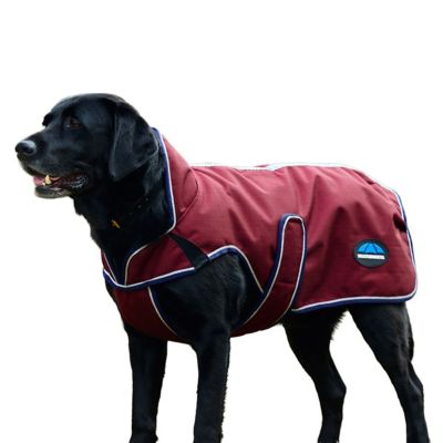 WeatherBeeta ComFiTec Premier Deluxe Waterproof Dog Coat