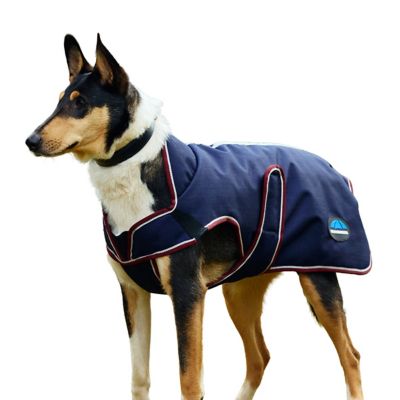 Image showing 0 th WeatherBeeta ComFiTec Premier Deluxe Waterproof Dog Coat