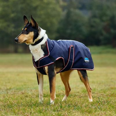 Image showing 1 th WeatherBeeta ComFiTec Premier Deluxe Waterproof Dog Coat