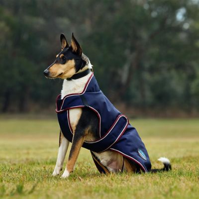 Image showing 2 th WeatherBeeta ComFiTec Premier Deluxe Waterproof Dog Coat