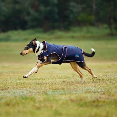 Image showing 3 th WeatherBeeta ComFiTec Premier Deluxe Waterproof Dog Coat