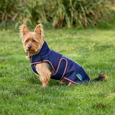 Image showing 4 th WeatherBeeta ComFiTec Premier Deluxe Waterproof Dog Coat