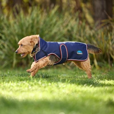 Image showing 5 th WeatherBeeta ComFiTec Premier Deluxe Waterproof Dog Coat