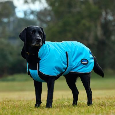 Image showing 1 th WeatherBeeta ComFiTec Reflective 300D Deluxe Showerproof Dog Coat