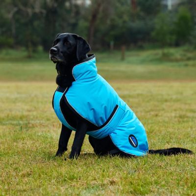 Image showing 4 th WeatherBeeta ComFiTec Reflective 300D Deluxe Showerproof Dog Coat