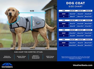 Image showing 6 th WeatherBeeta ComFiTec Reflective 300D Deluxe Showerproof Dog Coat