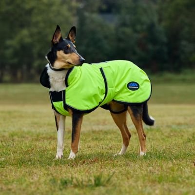 Image showing  ComFiTec Reflective 300D Deluxe Showerproof Dog Coat