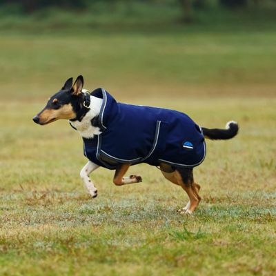 Image showing  ComFiTec 1200D Deluxe Waterproof Dog Coat