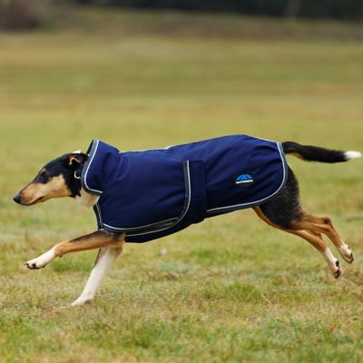 Image showing 3 th WeatherBeeta ComFiTec 1200D Deluxe Waterproof Dog Coat
