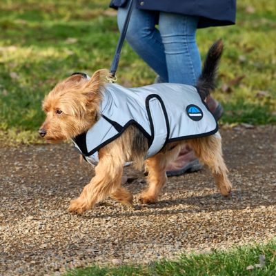 Image showing  ComFiTec Reflective Showerproof Dog Coat