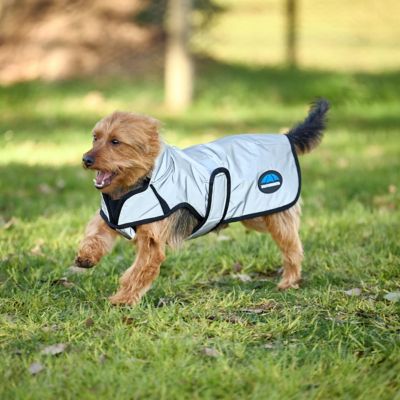 Image showing  ComFiTec Reflective Showerproof Dog Coat