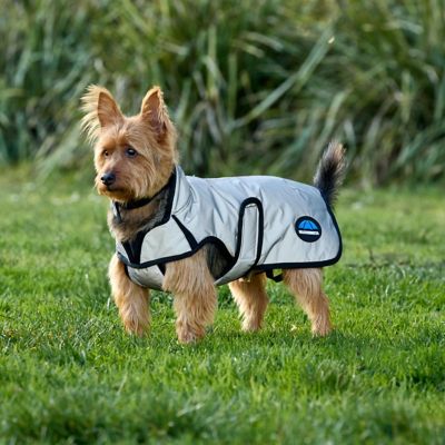 Image showing  ComFiTec Reflective Showerproof Dog Coat