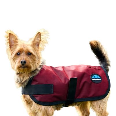 WeatherBeeta ComFiTec Classic Waterproof Dog Coat