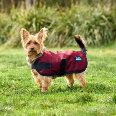 Image showing  ComFiTec Classic Waterproof Dog Coat