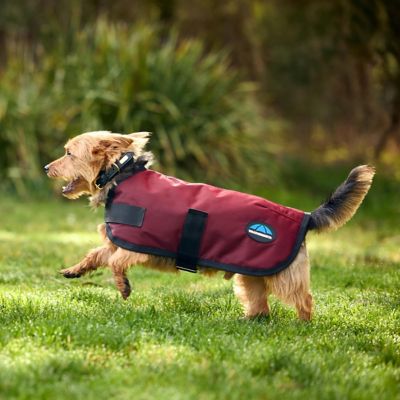 Image showing  ComFiTec Classic Waterproof Dog Coat
