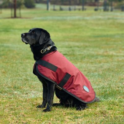 Image showing  ComFiTec Classic Waterproof Dog Coat