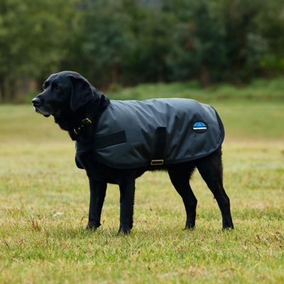 Image showing  ComFiTec Classic Waterproof Dog Coat