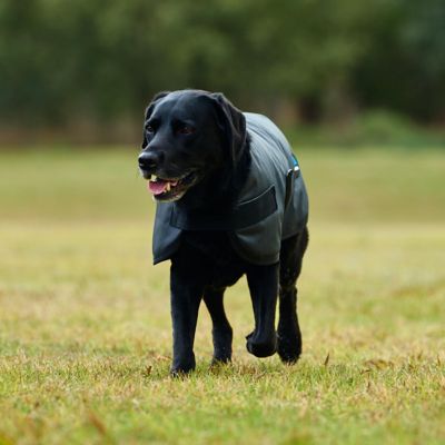 Image showing 8 th WeatherBeeta ComFiTec Classic Waterproof Dog Coat