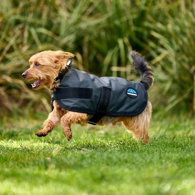 Image showing 2 th WeatherBeeta ComFiTec Classic Waterproof Dog Coat