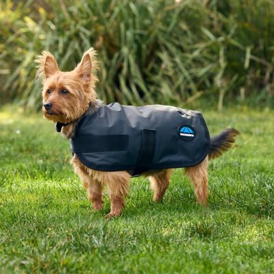Image showing 1 th WeatherBeeta ComFiTec Classic Waterproof Dog Coat