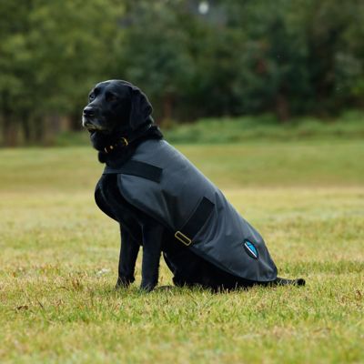 Image showing 3 th WeatherBeeta ComFiTec Classic Waterproof Dog Coat