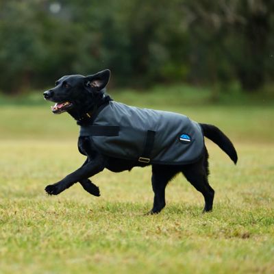 Image showing 6 th WeatherBeeta ComFiTec Classic Waterproof Dog Coat
