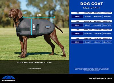 Image showing 9 th WeatherBeeta ComFiTec Classic Waterproof Dog Coat