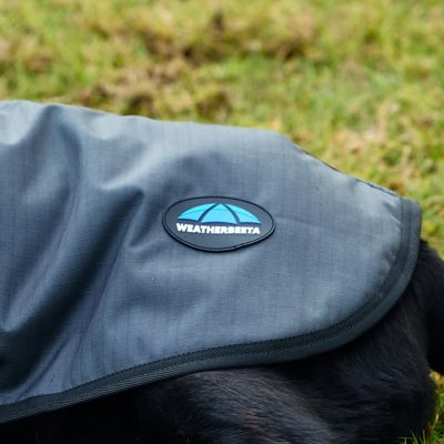 Image showing 7 th WeatherBeeta ComFiTec Classic Waterproof Dog Coat
