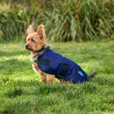 Image showing 3 th WeatherBeeta ComFiTec Classic Waterproof Dog Coat