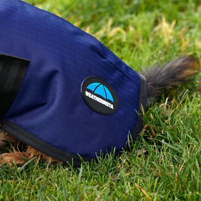 Image showing 5 th WeatherBeeta ComFiTec Classic Waterproof Dog Coat