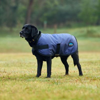 Image showing 1 th WeatherBeeta ComFiTec Classic Waterproof Dog Coat